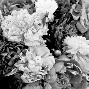 Meet your Posher, Danay